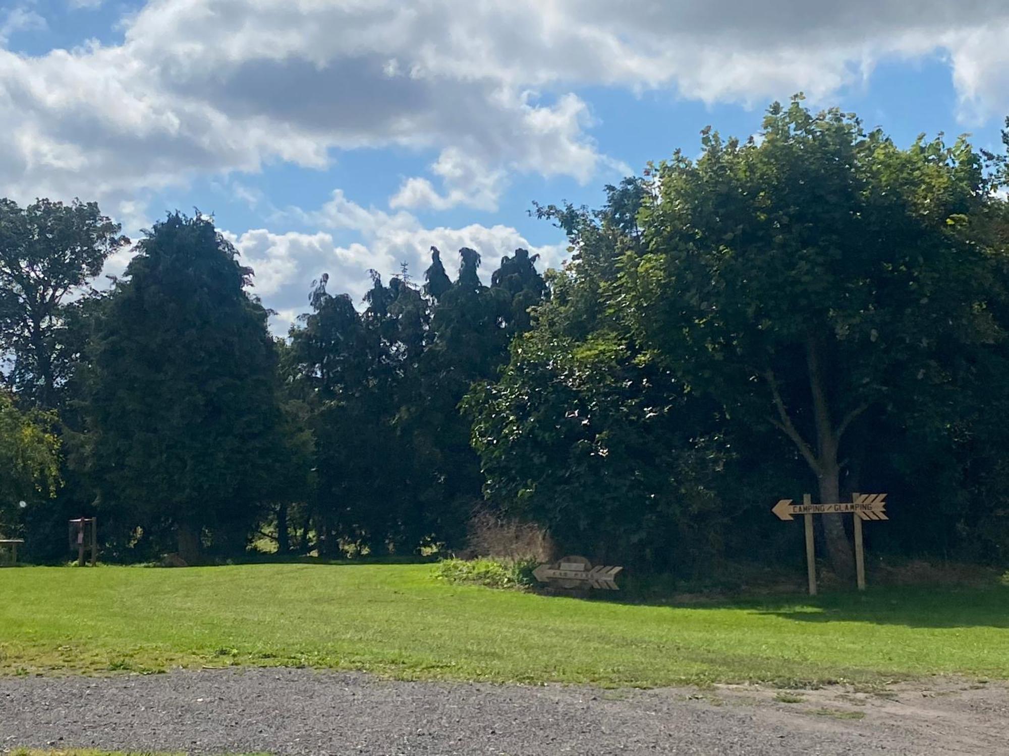 Roe Deer Meadow At Carr House Farm Hotel Scarborough Kültér fotó